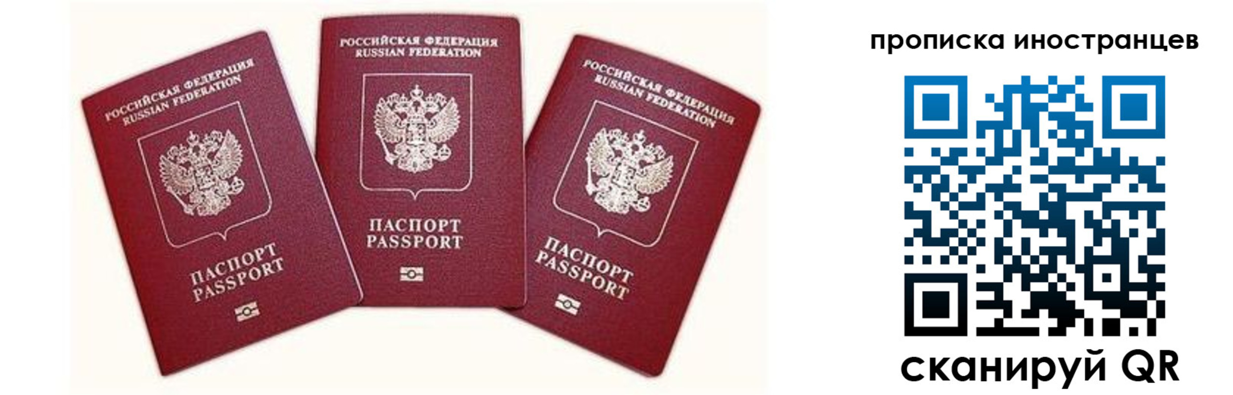 прописка в Малой Вишере